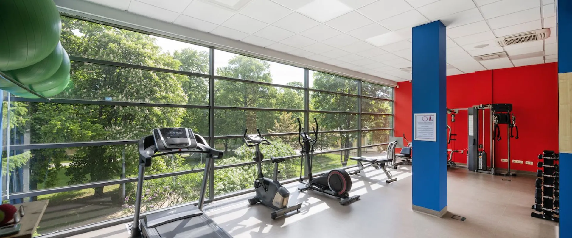 Treadmills and a rowing machine lined up along a gym's glass wall overlooking green trees