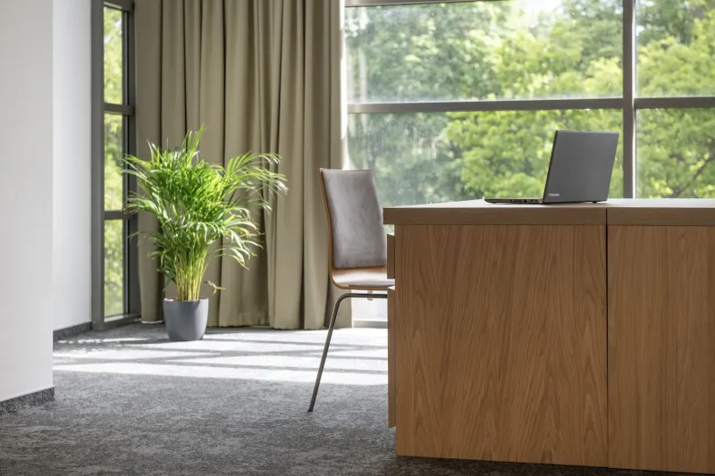 Open laptop on a wooden desk beside a chair, a potted palm and a full-height window onto trees