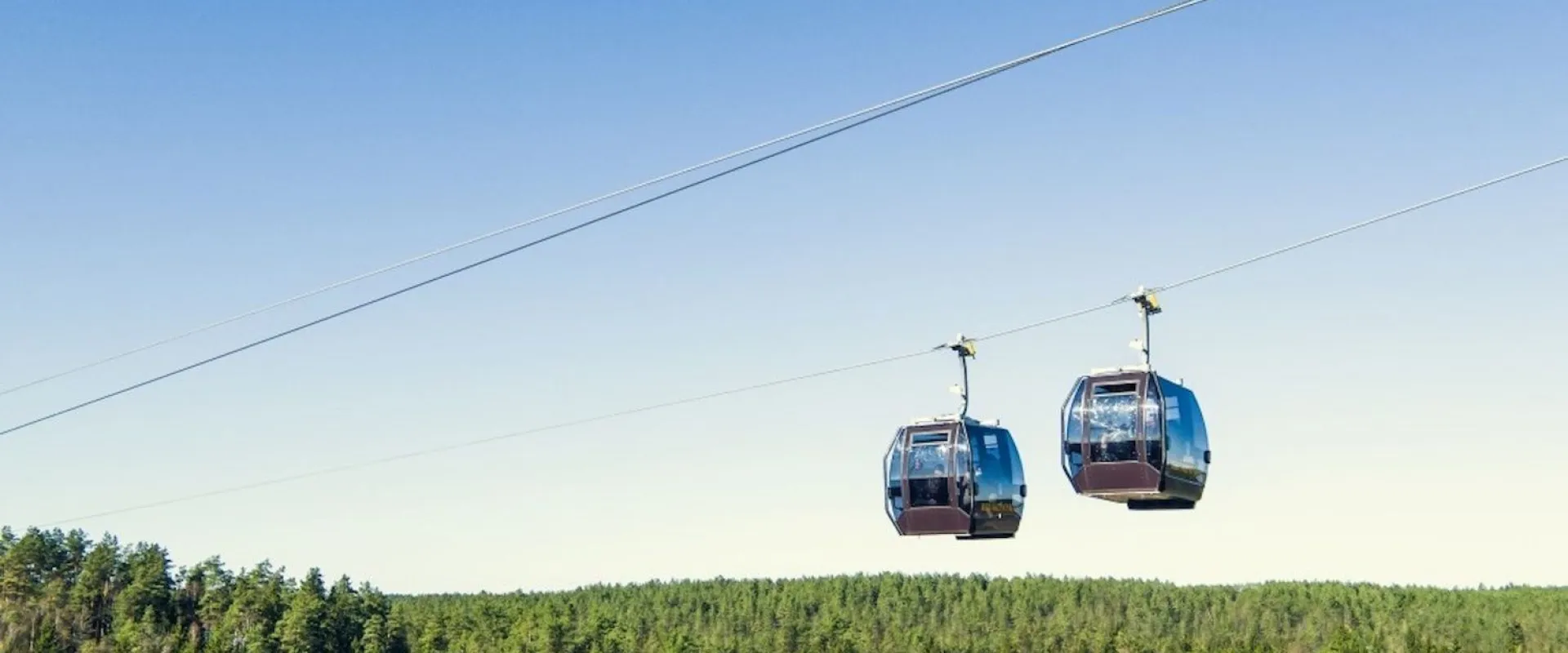 Two cable car gondolas crossing above the pine forest